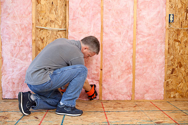 Best Attic Insulation Installation  in Silverton, OH